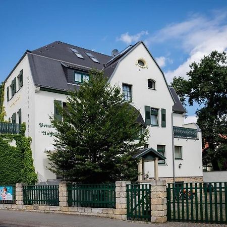 Villa Angelika Дрезден Екстериор снимка